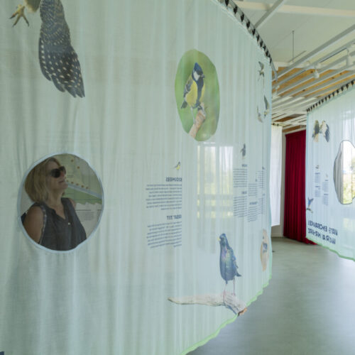 vogelbescherming-exhibition-bird-habitat-exhibition-design-designwolf