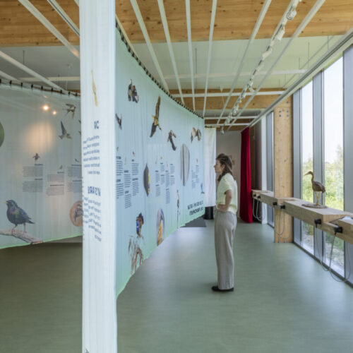 vogelbescherming-exhibition-kinderdijk-bird-theatre-designwolf