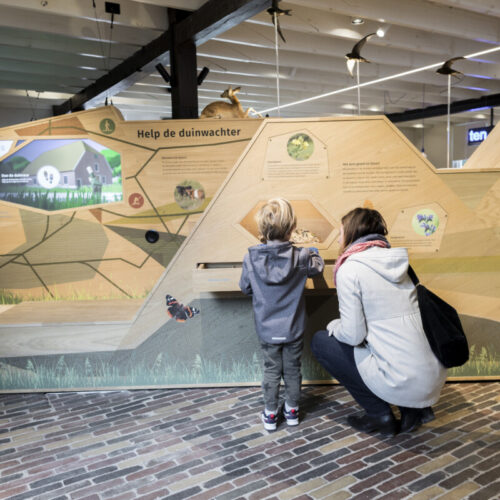 DUNEA-Tapuit-Wassenaar (24 van 72)dunes-nature-oak-wood-interactive-family-exhibition-design-designwolf