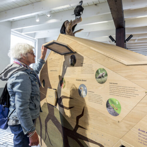 DUNEA-Tapuit-Wassenaar (3 van 72)-dunes-nature-oak-wood-interactive-hands-on-exhibition-design-designwolf