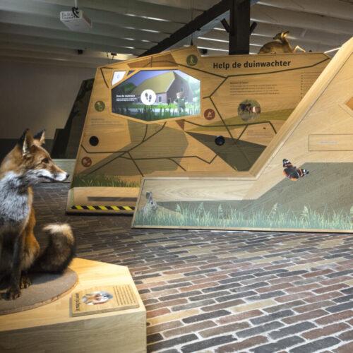 DUNEA-Tapuit-Wassenaar (40 van 72)-interactive-taxidermy fox-petting-exhibition-design-designwolf