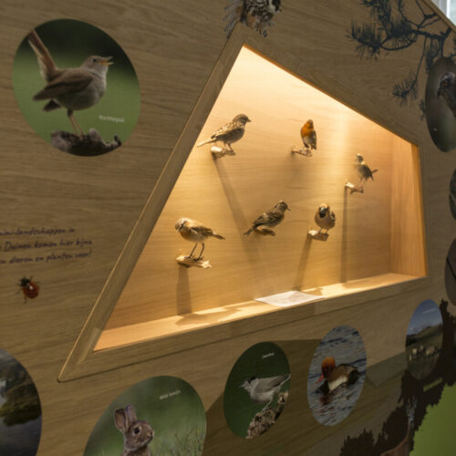 DUNEA-Tapuit-Wassenaar (45 van 72)-display-birds-exhibition-design-designwolf