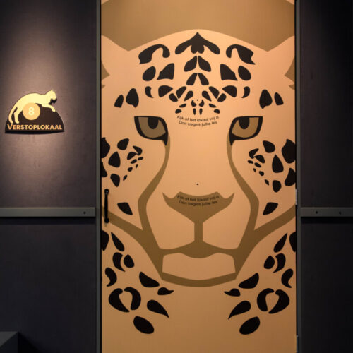 animal-academy-classroom-door-leopard-exhibition-design-designwolf