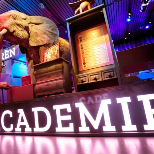 animal-academy-museum-volkenkunde-elephant-title-exhibition-design-designwolf