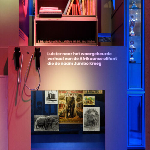 animal-academy-museum-volkenkunde-leiden-exhibition-design-designwolf.