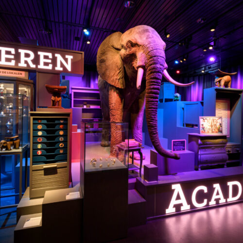 animal-academy-my-teacher-is-an-elephant-exhibition-design-designwolf