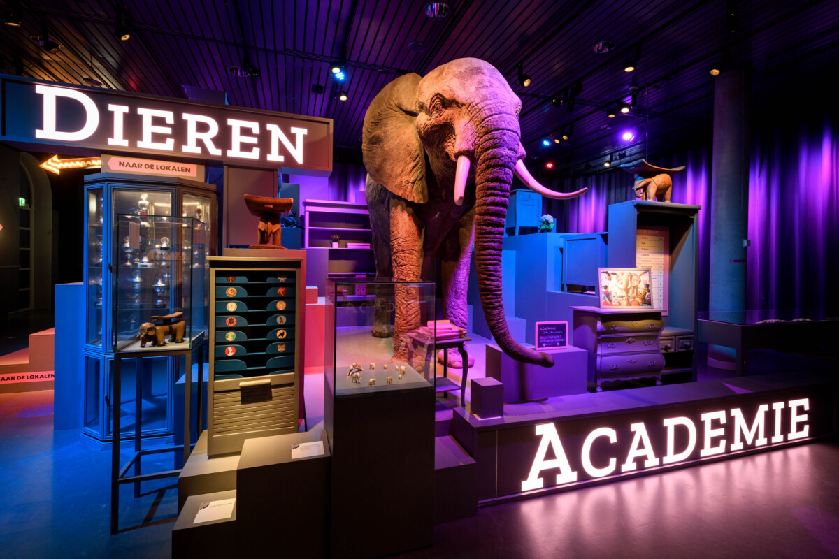 animal-academy-my-teacher-is-an-elephant-exhibition-design-designwolf